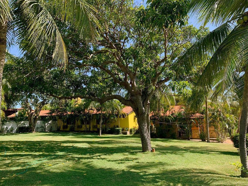 Guest House Parajuru เบเบรีเบ ภายนอก รูปภาพ